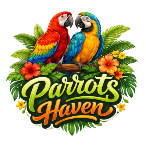 Buy exotic parrots online